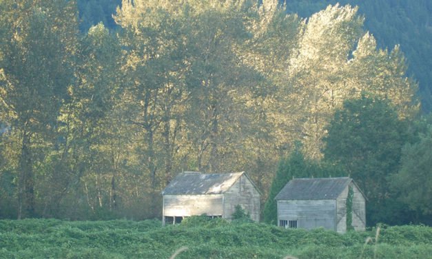 사람이 사람을 만나는 것이 이렇게 중요하다니
