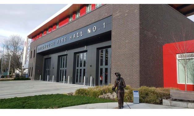 바이러스와 박테리아의 차이