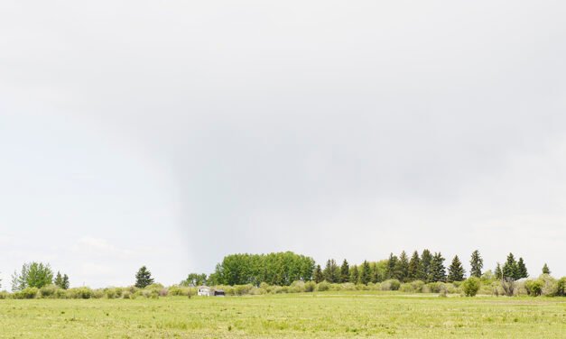 나는 미안합니다