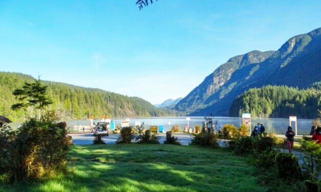 코로나 극복 함께 걷기