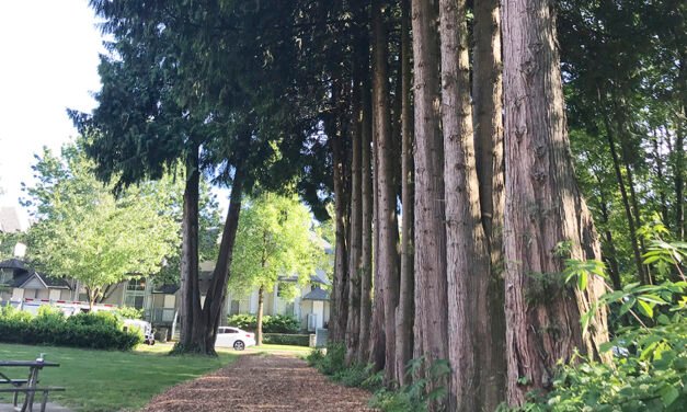 내 인생이란 나무에 거름이 되었던 일들