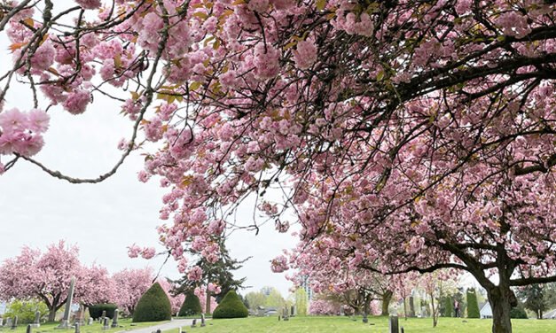 서로 사랑하며 산다