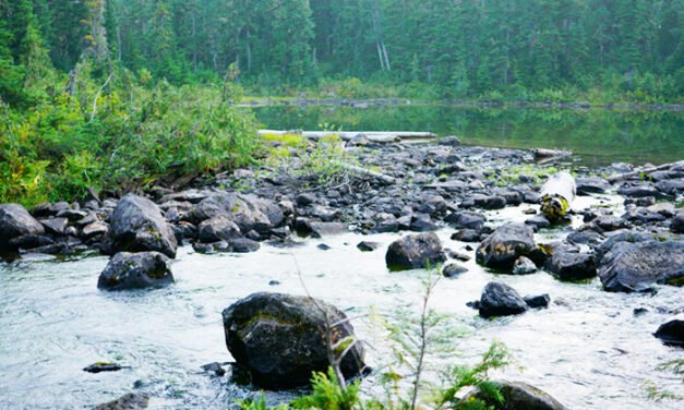 예약 걱정 없는 오지 캠핑 추천