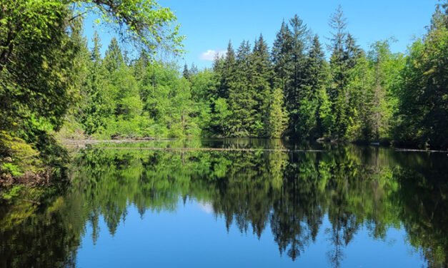 로스트 레이크 (Lost Lake – Mundy Park)