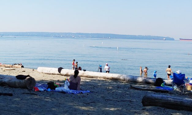 더위 탈출은 바로 여기서  메이플릿지 파크(Maple Ridge Park), 엠블사이드 해변(Ambleside Beach),  벨가드키친(Belgard Kitchen)