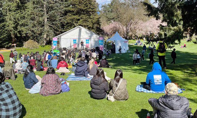 벚꽃 축제 시작