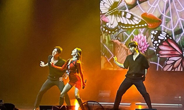 선미 밴쿠버 콘서트 성황리에