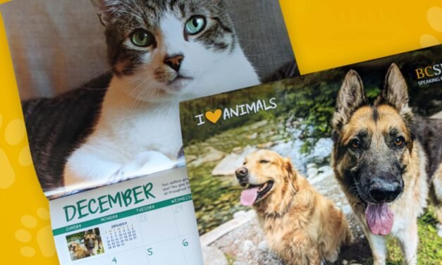 반려동물은 사랑이며 가족입니다