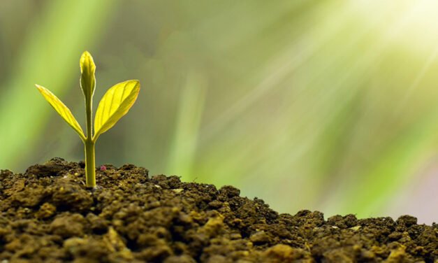 불안정한 경제 시장 전문가의 전망은